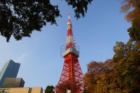 Téléchargez les photos : La tour de Tokyo avec une belle journée ensoleillée Nov 27 2023 - en image libre de droit