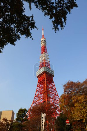 Téléchargez les photos : La vue sur la structure de la tour de Tokyo au Japon. 27 nov. 2023 - en image libre de droit