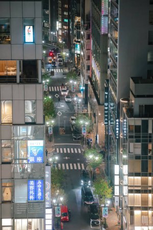 Photo for Street and buildings in Ginza Tokyo, Japan, Nov 26 2023 - Royalty Free Image
