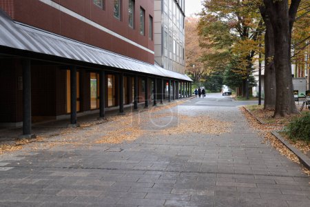 Téléchargez les photos : Le Campus de l'Université de Tokyo 26 Nov 2023 - en image libre de droit