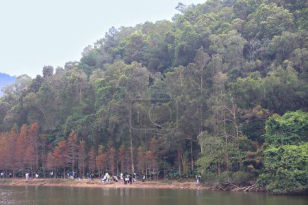 Foto de Ene 20 2024 Lau Shui Heung embalse orilla del estanque - Imagen libre de derechos