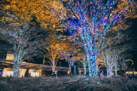 Photo for Winter Illumination in Tokyo near Roppongi Hills Nov 25 2023 - Royalty Free Image