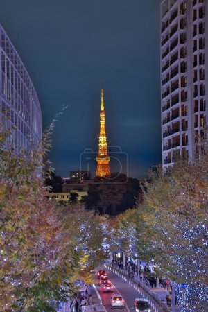Téléchargez les photos : A Japon Tokyo Roppongi, Noël illuminé approche 25 Nov 2023 - en image libre de droit