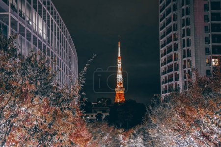 Téléchargez les photos : A Japon Tokyo Roppongi, Noël illuminé approche 25 Nov 2023 - en image libre de droit