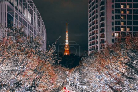 Foto de A Japón Tokio Roppongi, Se acerca la Navidad iluminada Nov 25 2023 - Imagen libre de derechos