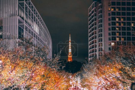 Téléchargez les photos : Une illumination hivernale nocturne rue Roppongi Keyakizaka 25 nov. 2023 - en image libre de droit