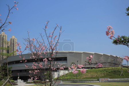 Foto de Tseung Kwan O Town Park la temporada de primavera, El concepto de la naturaleza - Imagen libre de derechos