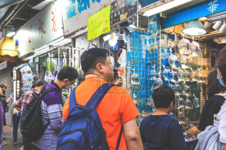Foto de Feb 15 2024 mercado de peces de colores Mong Kok Kowloon Hong Kong - Imagen libre de derechos