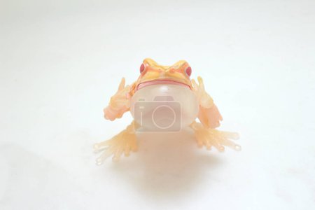 La grenouille à panneaux blanche captivante, figure de jouet à l'échelle