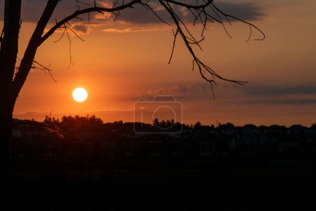 Photo for Morning Sunrise with a tree silhouette. - Royalty Free Image