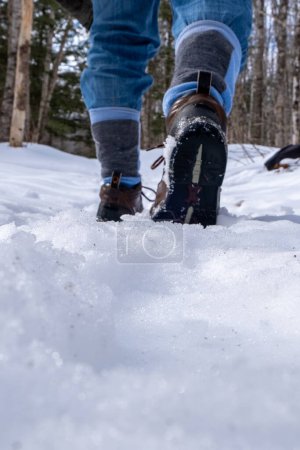 Photo for Close up of hiker walking in the snow along a woodland trail. Selective focus with forest in the back ground. - Royalty Free Image