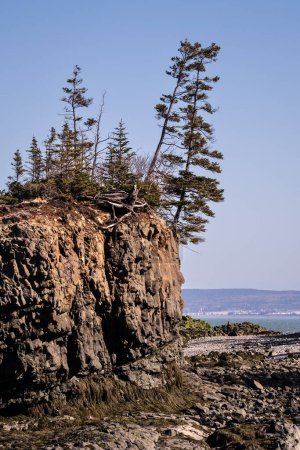 Foto de Vista panorámica de la marea baja que muestra el claro contraste del cielo azul con la playa de arena roja. - Imagen libre de derechos