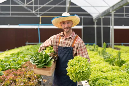 Foto de Agricultor cosechando verduras de la granja hidropónica. Hortalizas frescas ecológicas, Farmer trabajando con horticultura hidropónica en invernadero. - Imagen libre de derechos