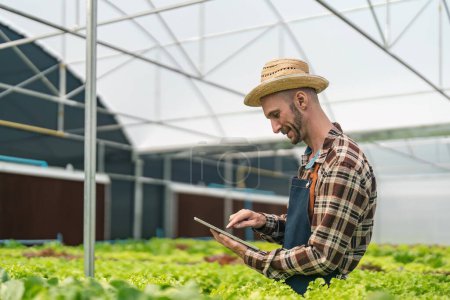 Photo for Hydroponics vegetable farm. male farmer checking vegetables from his hydroponics farm, concept of growing organic vegetables and healthy food. - Royalty Free Image