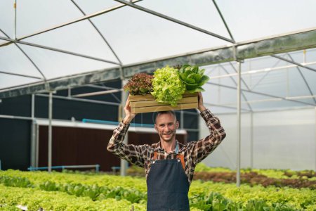 Foto de Campesino sonriente recogiendo verduras orgánicas en invernadero. - Imagen libre de derechos