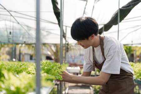 Téléchargez les photos : Bonheur Asiatique Homme jardinier Travailler avec fraîcheur légumes serre hydroponique dans la ferme hydroponique. - en image libre de droit