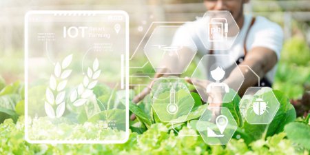 Photo for Hand touching plants green with and visual icon Smart farming on background. Science of plant research in nursery outdoor. - Royalty Free Image