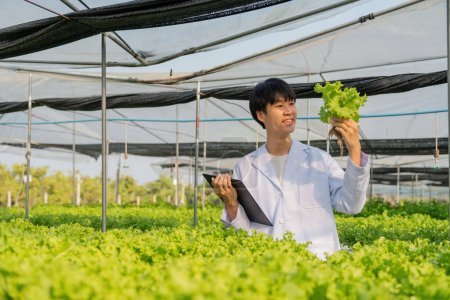Téléchargez les photos : Chercheur agricole asiatique tenant presse-papiers et légumes, supervisant les légumes biologiques en serre. - en image libre de droit