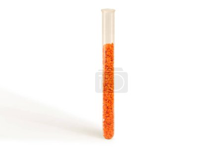 Photo for Vitamins, fibers and nutrients in a healthy, natural lentils in a test tube on a white background - Royalty Free Image