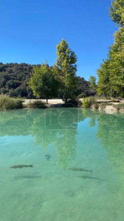 Photo for Baos de las Mulas in Ruidera in Castilla la Mancha, Spain. Among the fauna of the lagoons there are fish such as boga, carp, pike and black-bass. - Royalty Free Image