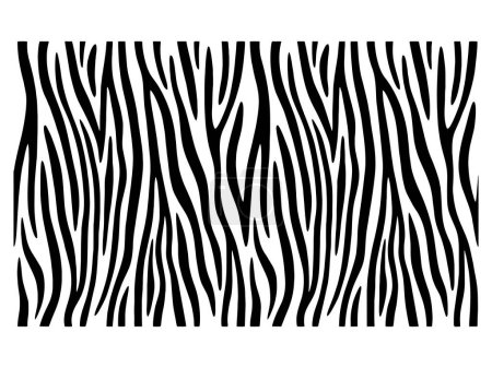 Illustration for Zebra print, animal skin, tiger stripes, abstract pattern, line background, fabric. - Royalty Free Image