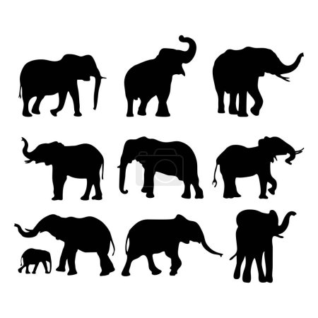 Téléchargez les illustrations : Ensemble de silhouettes d'éléphants dans différentes poses - en licence libre de droit