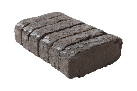 peat fuel briquettes for use on open fires, an alternative type of fuel for heating. Close-up, on isolated white