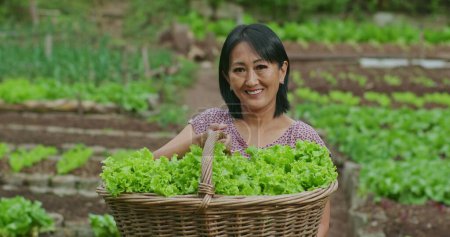 Téléchargez les photos : Une femme américaine asiatique heureuse debout dans un champ vert avec la ferme locale en arrière-plan. portrait d'un propriétaire de petite entreprise souriant montrant des produits alimentaires - en image libre de droit