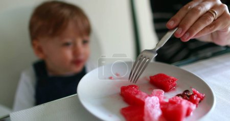 Téléchargez les photos : Enfant garçon applaudissements mains tout en mangeant pastèque dessert - en image libre de droit