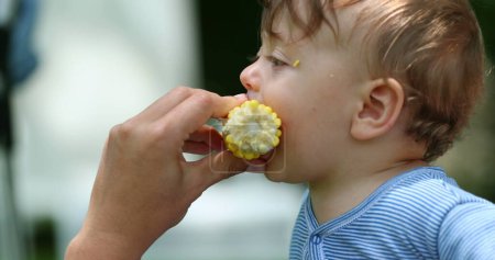 Photo for Cute baby eating corn. Parent feeding toddler healthy snack cob - Royalty Free Image