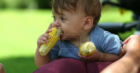 Photo for Cute baby taking a bite of healthy corn snack outdoors. Infant eating cob outside - Royalty Free Image