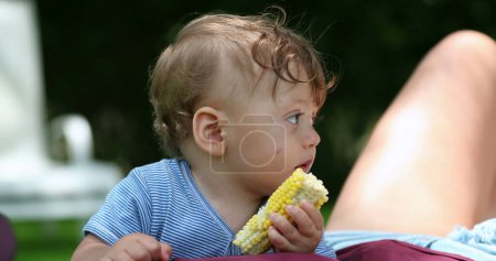 Téléchargez les photos : Bébé mangeant des épis de maïs dehors. Enfant en bas âge mangeant une collation saine au soleil - en image libre de droit