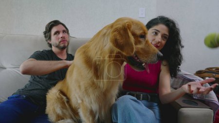 Foto de Dueño del perro interactuando con Golden Retriever sentado en el sofá en casa. Mujer muestra pelota a mascota amigable - Imagen libre de derechos