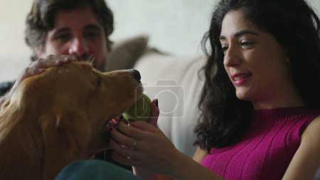 Foto de Propietarios de mascotas juguetonas interactuando con Dios Golden Retriever. Mujer enseñándole pelota a Perro. Relación franca y auténtica - Imagen libre de derechos