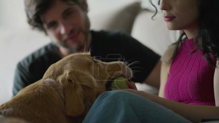 Téléchargez les photos : Couple heureux caressant leur chien à la maison en jouant avec le ballon. Femme embrassant animal de compagnie, aimant les gens caressant leur animal domestique - en image libre de droit
