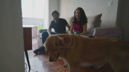 Téléchargez les photos : Couple franc jouant avec chien à l'intérieur à l'appartement. Femme jetant ballon à ludique Golden Retriever - en image libre de droit