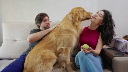 Photo for Golden Retriever with joyful couple sitting on couch at home. Dog licking female owner face. Happy Pet owners - Royalty Free Image