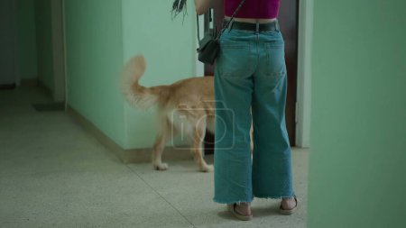 Téléchargez les photos : Femme qui attend en ascenseur pour une promenade avec son chien en laisse. Femme dans la trentaine debout dans le couloir de construction en face de l'ascenseur avec son Golden Retriever Pet - en image libre de droit