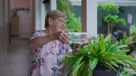 Téléchargez les photos : Femme âgée plante d'arrosage avec bouteille d'eau à la maison arrière-cour. Candid authentique personne âgée routine quotidienne - en image libre de droit