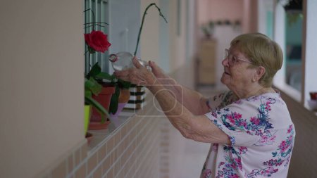 Téléchargez les photos : La routine quotidienne franche de l'usine d'arrosage de femme âgée avec la bouteille d'eau dans la cour arrière de la maison, exposant le mode de vie aîné véritable - en image libre de droit