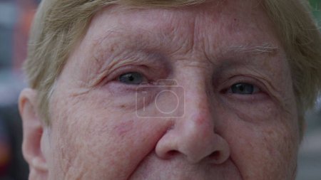 Foto de Macro primer plano de una anciana mayor de 80 años mirando la cámara. Una persona mayor caucásica que representa la edad y la sabiduría - Imagen libre de derechos