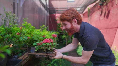 Photo for Happy man putting pot of plants back to shelf at horticulture Plant Store backyard. Joyful Florist male person with redhair - Royalty Free Image