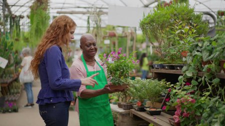 Téléchargez les photos : Senior Lady Helping Young Female Client at Local Gardening Shop. Une femme aînée afro-américaine conseille le client sur l'achat d'une plante dans une petite entreprise Flower Store - en image libre de droit