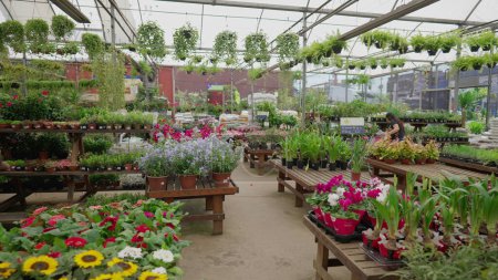 Foto de Interior de la tienda de horticultura suministro floristería negocio local - Imagen libre de derechos
