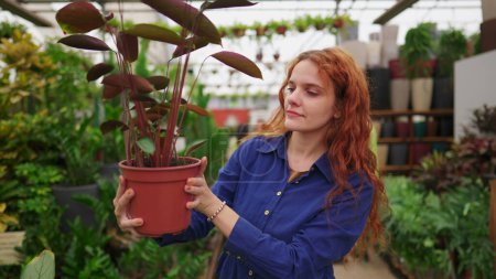 Téléchargez les photos : Joyeuse femme cueillette des plantes de l'étagère, se promener dans l'horticulture jardinage magasin d'approvisionnement allée - en image libre de droit