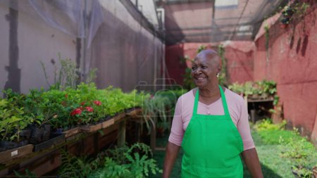 Foto de Una señora mayor negra feliz y audaz camina por el jardín del patio trasero con delantal verde. Expresión gozosa de una trabajadora africana brasileña mayor caminando en una tienda de plantas al aire libre - Imagen libre de derechos