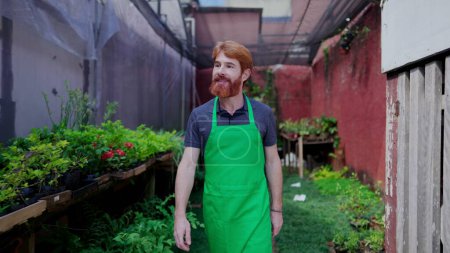 Photo for Joyful man horticulture entrepreneur wearing green apron walking through garden outside with plants on shelf - Royalty Free Image
