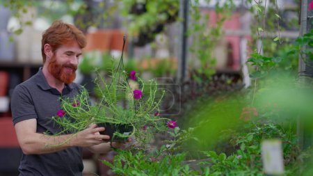 Téléchargez les photos : Joyeux client cueillette plante à horticulture magasin de vente au détail de plantes. Une personne rousse caucasienne masculine franche choisissant la boutique locale de fleurs - en image libre de droit