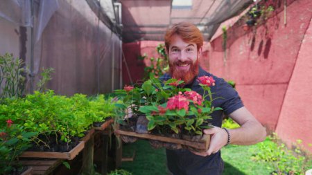 Téléchargez les photos : Joyeux jeune homme roux tenant pot de plantes dans l'environnement horticole arrière-cour. Petite communauté Portrait de fleuriste - en image libre de droit