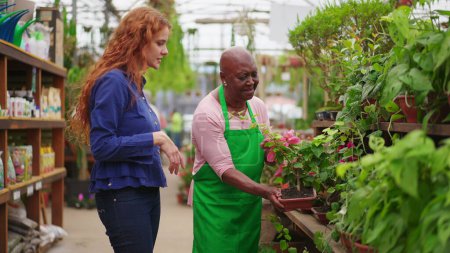 Téléchargez les photos : Femme noire âgée aidant le client dans le magasin d'horticulture. Une dame âgée confiante guidant l'achat d'usine dans un magasin de fleurs local - en image libre de droit